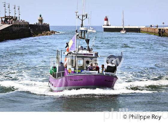 BATEAU DE PECHE,  PORT DE PECHE DE   CAPBRETON, COTE D' ARGENT, LANDES. (40F07429.jpg)