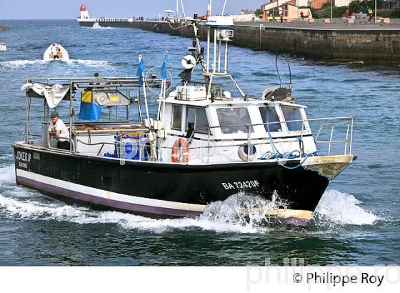 AURELIEN SORIN, MARIN PECHEUR, PORT DE PECHE DE   CAPBRETON, COTE D' ARGENT, LANDES. (40F07432.jpg)