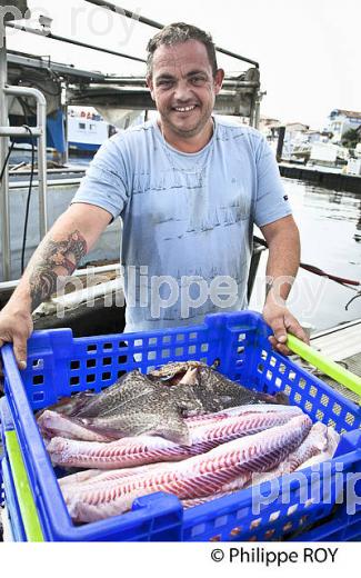 AURELIEN SORIN, MARIN PECHEUR, PORT DE PECHE DE   CAPBRETON, COTE D' ARGENT, LANDES. (40F07436.jpg)