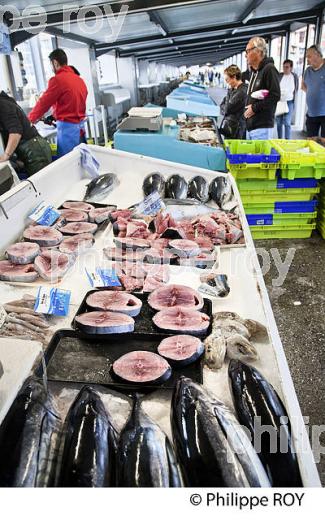 LE MARCHE AUX POISSONS, PORT DE CAPBRETON, COTE D' ARGENT, LANDES. (40F07440.jpg)