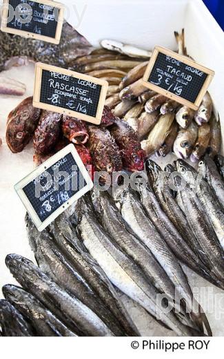 BANC DE POISSONS DE AURELIEN SORIN, MARIN PECHEUR, PORT DE PECHE DE   CAPBRETON, COTE D' ARGENT, LANDES. (40F07501.jpg)