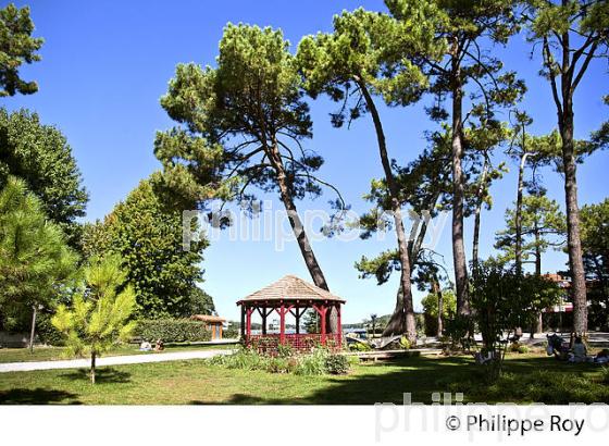 PARC ROSNY, LAC  D' HOSSEGOR, VSTATION BALNEAIRE DE HOSSEGOR, COTE D' ARGENT, LANDES. (40F07627.jpg)