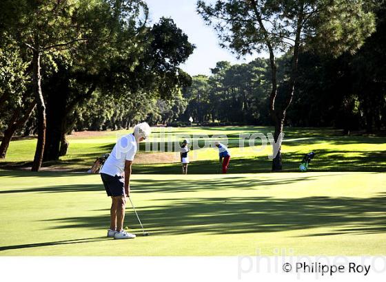 LE GOLF D' HOSSEGOR,  STATION BALNEAIRE DE HOSSEGOR, COTE D' ARGENT, LANDES. (40F07817.jpg)