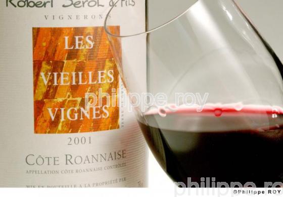 Le vignoble des Ctes du Rhne (42V00101.jpg)