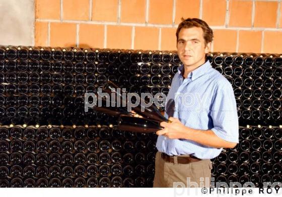 Le vignoble des Ctes du Rhne (42V00105.jpg)