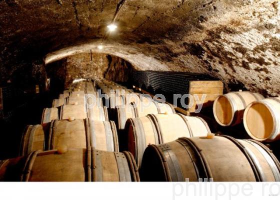 Le vignoble des Ctes du Rhne (42V00108.jpg)