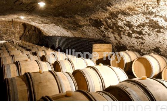 Le vignoble des Ctes du Rhne (42V00109.jpg)