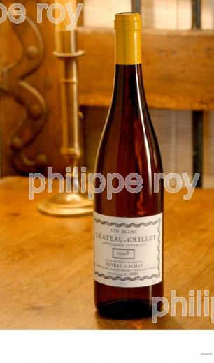 Le vignoble des Ctes du Rhne (42V00112.jpg)