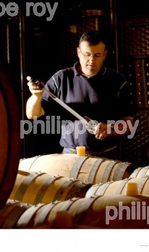 Le vignoble des Ctes du Rhne (42V00113.jpg)