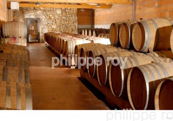 Le vignoble des Ctes du Rhne (42V00114.jpg)