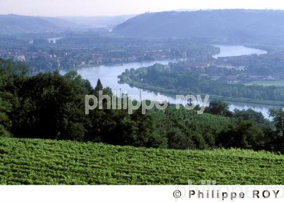 Le vignoble des Ctes du Rhne (42V00221.jpg)