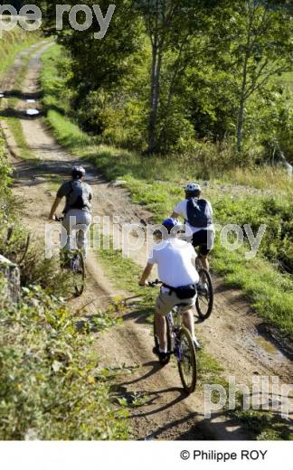 VTT - Loire (42V00503.jpg)