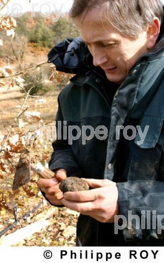 La Truffe du Quercy (46F00112.jpg)