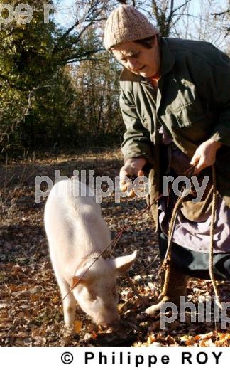 La Truffe du Quercy (46F00114.jpg)