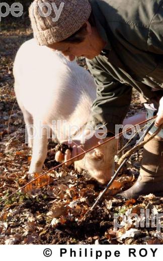 La Truffe du Quercy (46F00122.jpg)