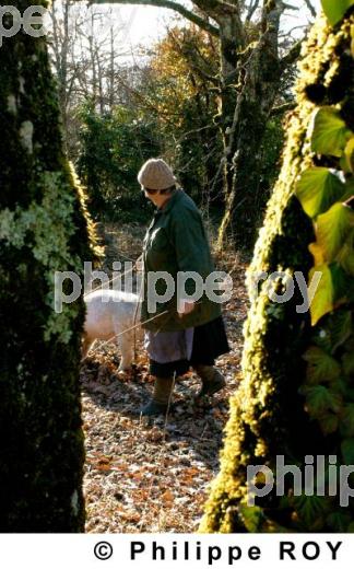 La Truffe du Quercy (46F00124.jpg)