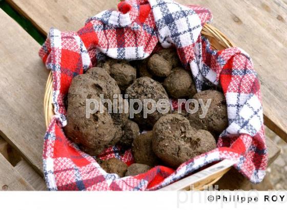 La Truffe du Quercy (46F00208.jpg)