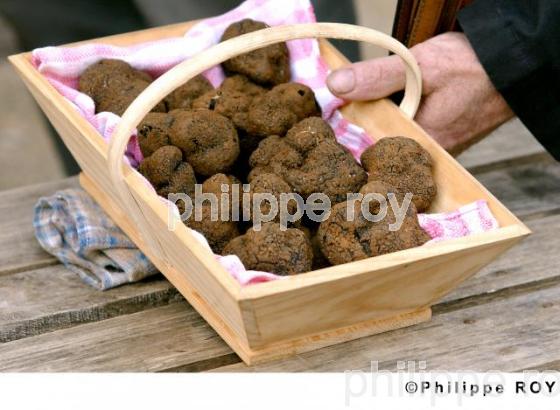 La Truffe du Quercy (46F00209.jpg)