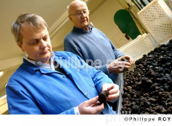 La Truffe du Quercy (46F00226.jpg)
