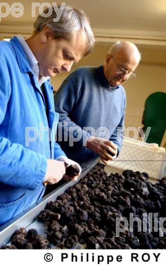 La Truffe du Quercy (46F00227.jpg)