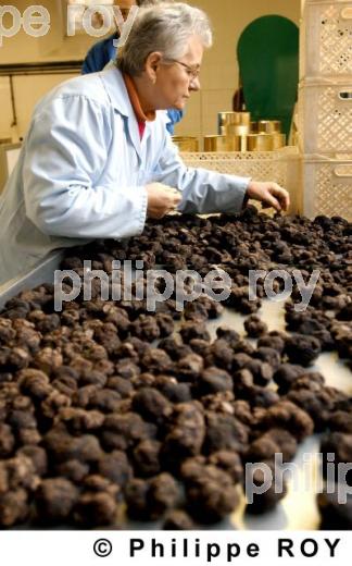 La Truffe du Quercy (46F00230.jpg)