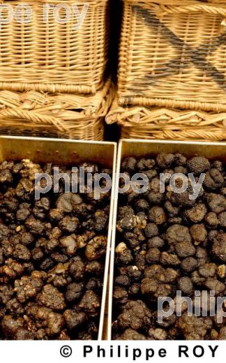 La Truffe du Quercy (46F00238.jpg)