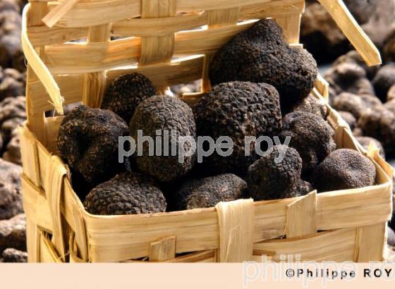 La Truffe du Quercy (46F00315.jpg)