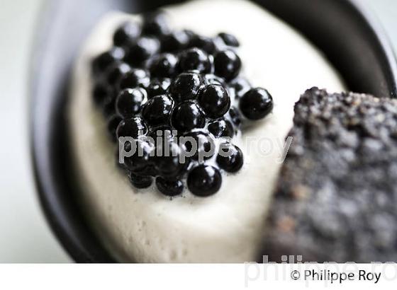 CAVIAR DE FRUFFE, RESTAURANT LE GINDREAU, SAINT MEDARD, VALLEE DU LOT. (46F00333.jpg)