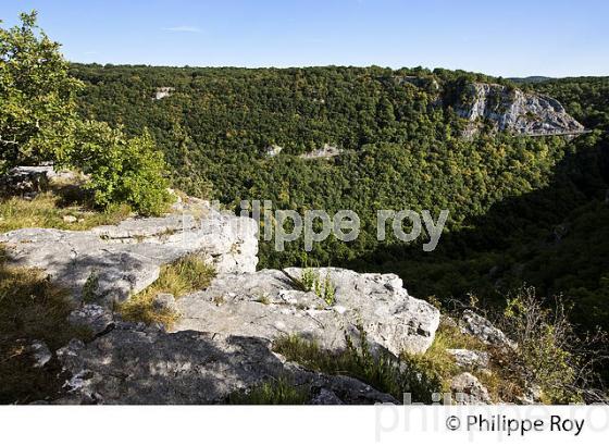FALAISE DU CIRQUE D' AUTOIRE, CAUSSE DU HAUT QUERCY, LOT. (46F00518.jpg)