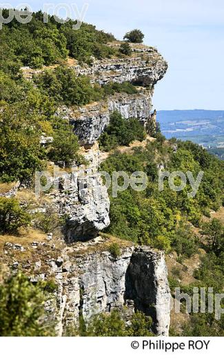 FALAISE DU CIRQUE D' AUTOIRE, CAUSSE DU HAUT QUERCY, LOT. (46F00527.jpg)
