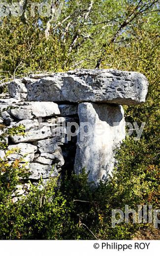 CASELLE  SUR LE CAUSSE, VALLEE DU CELE ,  VILLAGE DE MARCILHAC SUR CELE ,  QUERCY, LOT. (46F01515.jpg)