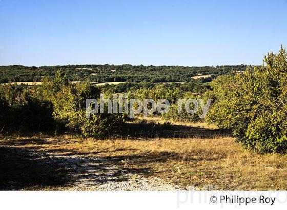 PAYSAGE DU CAUSSE DE GRAMAT,  COMMUNE   D'ESPEDAILLAC, CAUSSE DE GRAMAT,  HAUT QUERCY, LOT. (46F02212.jpg)