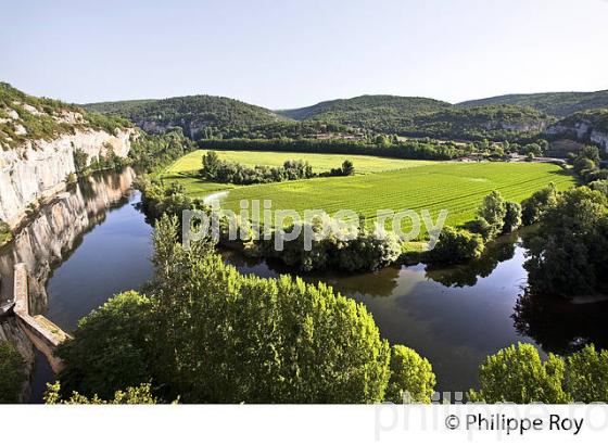 PANORAMA SUR LE LOT ET AGRICULTURE DE LA VALLEE DU LOT, COMMUNE DE BOUZIES,  QUERCY, LOT. (46F02515.jpg)