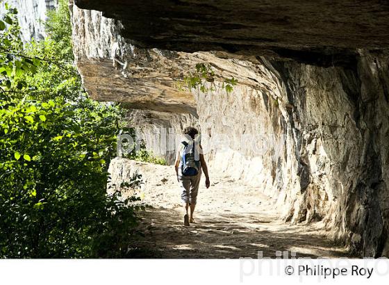 CHEMIN DE HALAGE   ET FALAISE, RANDONNEE PEDESTRE,  COMMUNE  DE BOUZIES, VALLEE DU LOT, QUERCY, LOT. (46F02521.jpg)