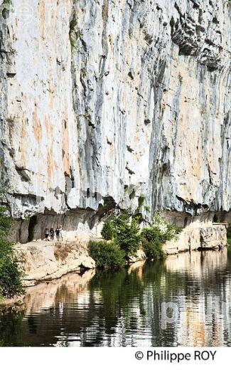 CHEMIN DE HALAGE   ET FALAISE, RANDONNEE PEDESTRE,  COMMUNE  DE BOUZIES, VALLEE DU LOT, QUERCY, LOT. (46F02526.jpg)