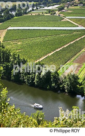 TOURISME FLUVIAL SUR LE LOT, ET POLYCULTURE , COMMUNE DE PARNAC, VALLEE DU LOT, QUERCY, LOT. (46F02710.jpg)