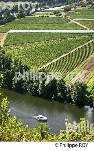 TOURISME FLUVIAL SUR LE LOT, ET POLYCULTURE , COMMUNE DE PARNAC, VALLEE DU LOT, QUERCY, LOT. (46F02710.jpg)