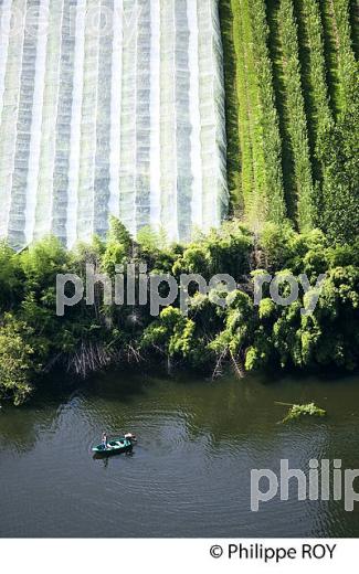 PECHE FLUVIALE SUR LE LOT, COMMUNE DE CAILLAC, VALLEE DU LOT, QUERCY, LOT. SUR LE LOT, ET POLYCULTURE , COMMUNE DE PARNAC, VALLEE DU LOT, QUERCY, LOT. (46F02713.jpg)