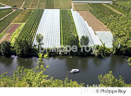 TOURISME FLUVIAL SUR LE LOT, ET POLYCULTURE , COMMUNE DE PARNAC, VALLEE DU LOT, QUERCY, LOT. (46F02714.jpg)