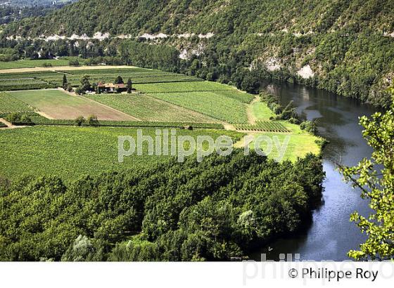 ARBORICULTURE ET VIGNOBLE, VALLEE DU LOT, COMMUNE DE CAILLAC,QUERCY, LOT. (46F02719.jpg)