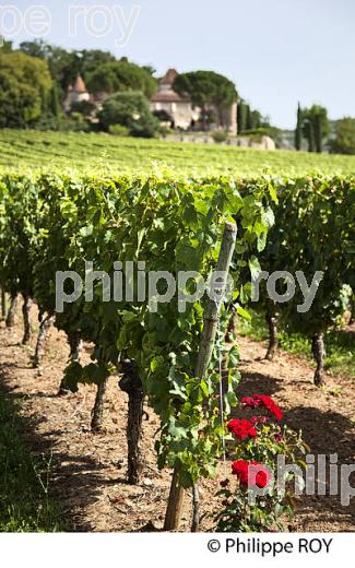 CHATEAU DE CAIX, VINS AOC CAHORS, COMMUNE DE LUZECH, VALLEE DU LOT, QUERCY, LOT. (46F02726.jpg)