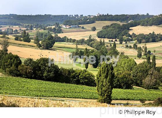 VIGNES , AOC COTEAUX DU QUERCY, PAYSAGE AGRICOLE,  VILLAGE MEDIEVAL DE FLAUGNAC, QUERCY BLANC, LOT. (46F03008.jpg)