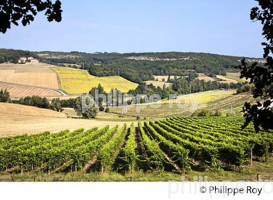 VIGNES , AOC COTEAUX DU QUERCY,  VILLAGE MEDIEVAL DE FLAUGNAC, QUERCY BLANC, LOT. (46F03013.jpg)