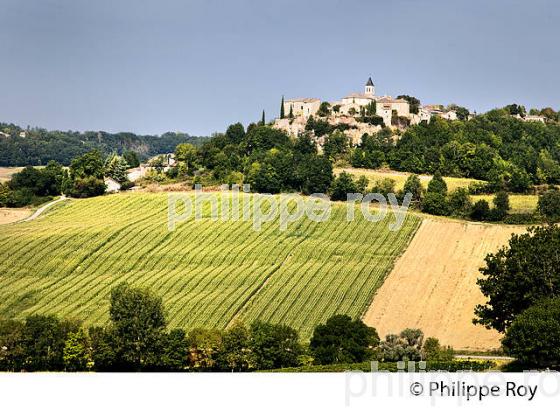 CHAMP DE MAIS SEMENCE ET VILLAGE MEDIEVAL DE FLAUGNAC, QUERCY BLANC, LOT. (46F03019.jpg)