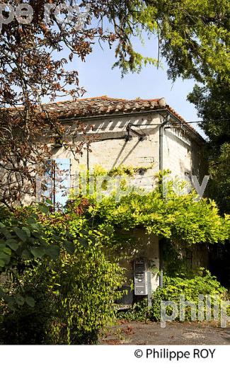MAISON DU QUERCY BLANC, COMMUNE DE MONTCUQ,  LOT. (46F03108.jpg)