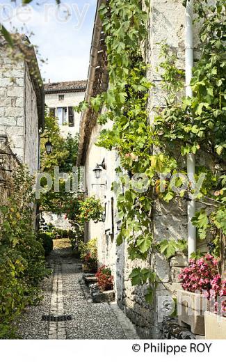 LE  VILLAGE MEDIEVAL DE MONTCUQ, QUERCY BLANC, LOT. (46F03213.jpg)