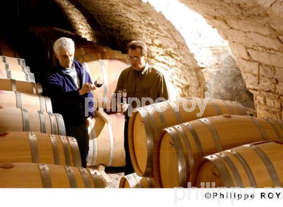 Le vignoble de Cahors (46V00102.jpg)