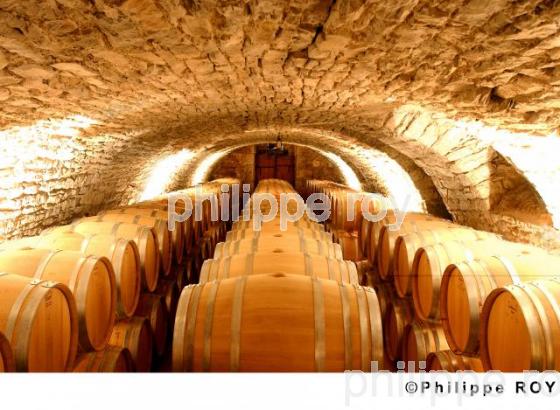 Le vignoble de Cahors (46V00107.jpg)