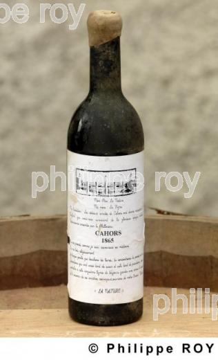 Le vignoble de Cahors (46V00318.jpg)