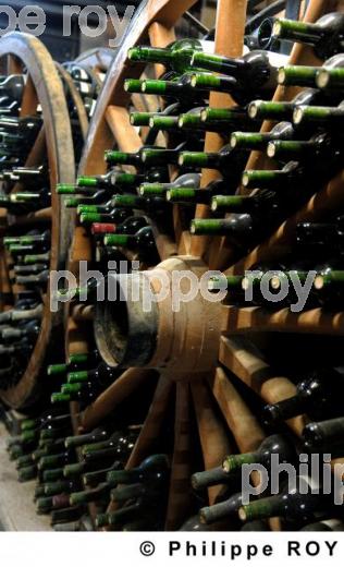 Le vignoble de Cahors (46V00321.jpg)